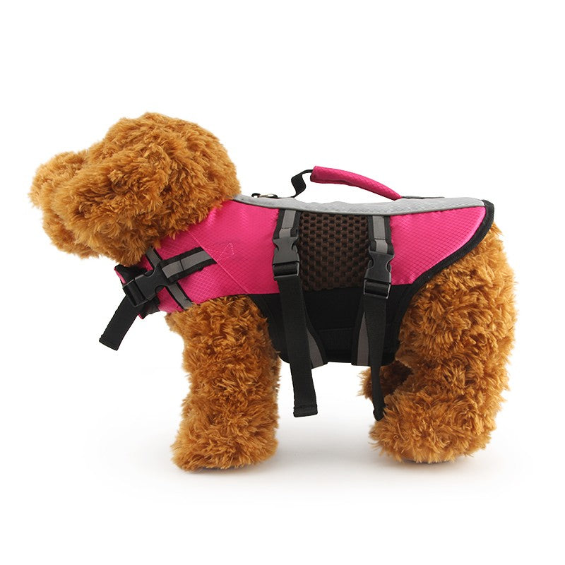 Poodle wearing the pink dog swimsuit life vest with a top handle
