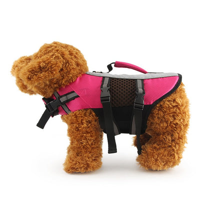 Poodle wearing the pink dog swimsuit life vest with a top handle