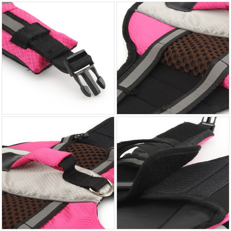 Close-up of the buckle, D-ring and soft mesh on the dog swimsuit