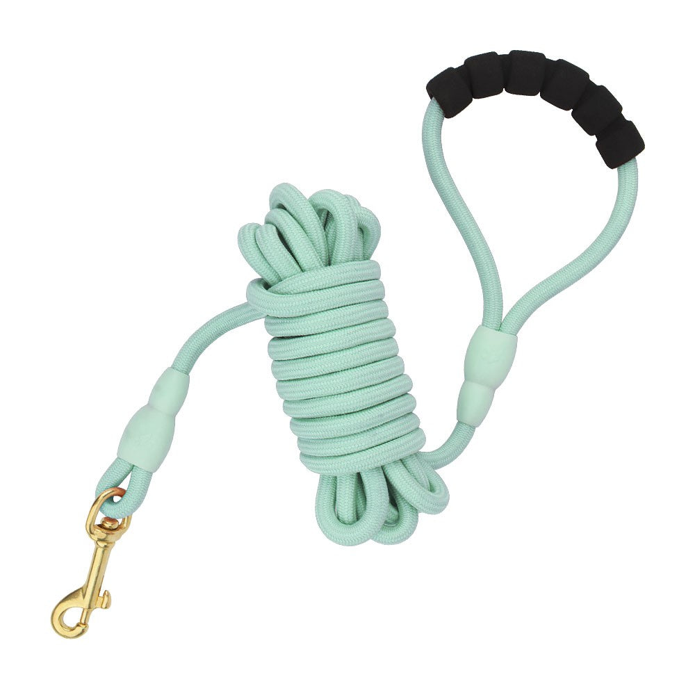 Mint green long dog training leash with padded handle and brass hook