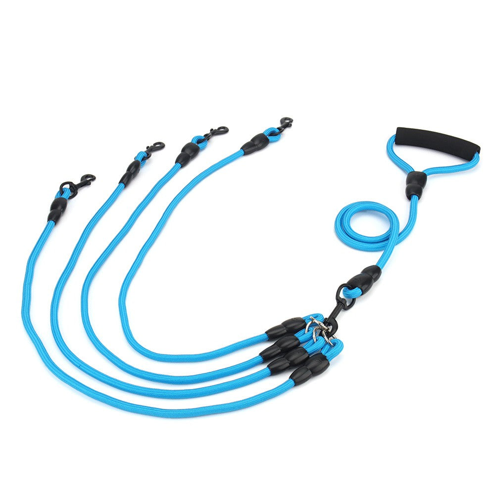 Blue leash for four dogs