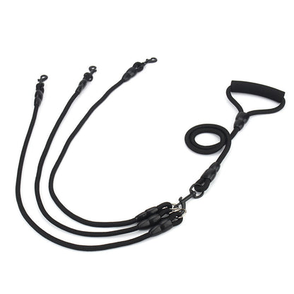 Black leash for three dogs