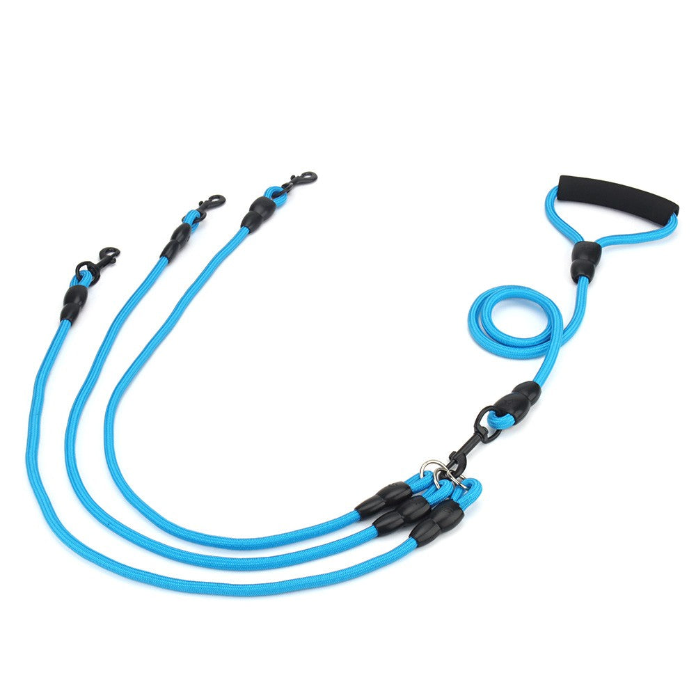 Blue leash for three dogs