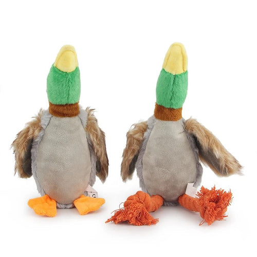 Two duck dog toys standing side by side, plush mallard with green head