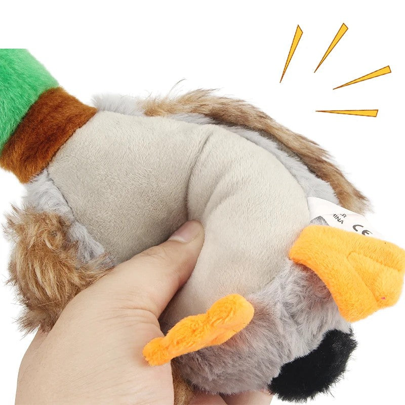 Hand squeezing the duck dog toy body to sound the squeaker