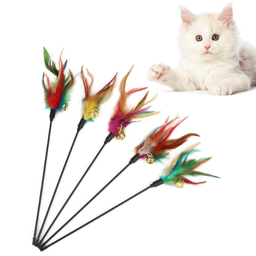 Five feather cat toy wands with bells and a white kitten