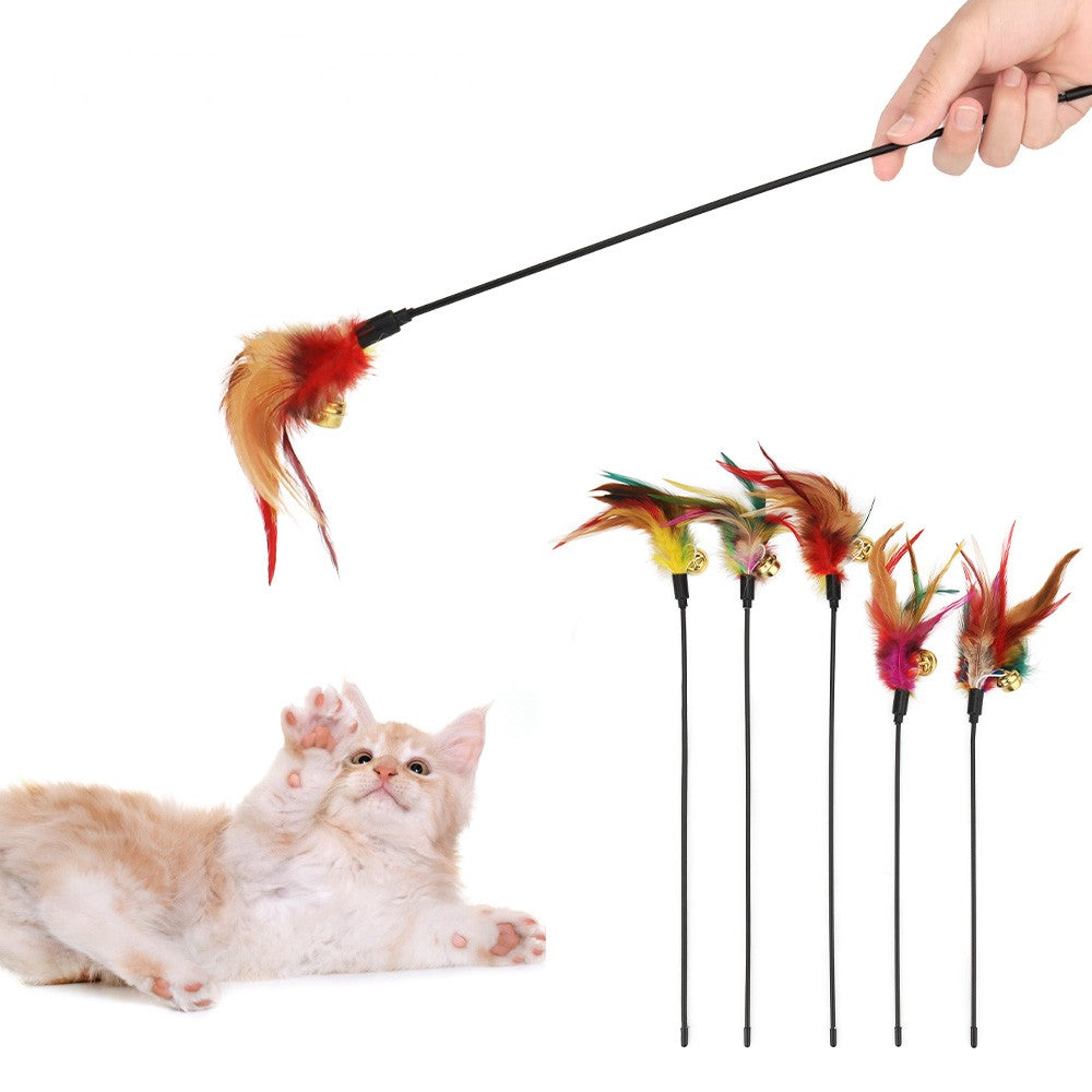 Hand swinging a feather cat wand for a playful kitten