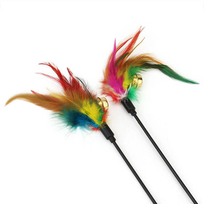 Close-up of the colourful feathers and bells on the cat feather wand