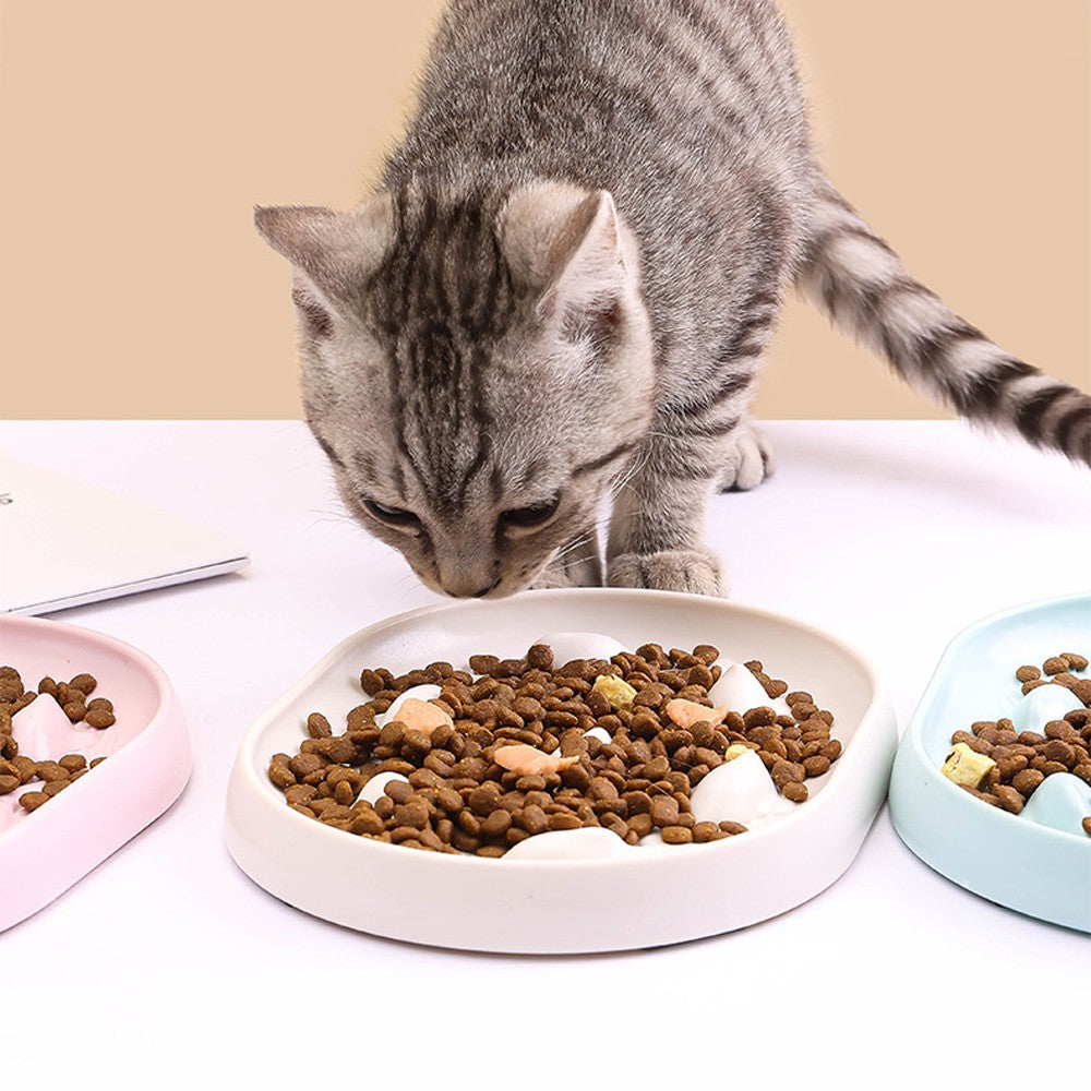 Tabby cat eating from a fish pattern slow feeder cat bowl