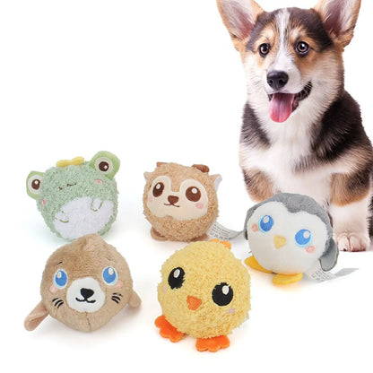 Corgi with the round squeaky plush ball toys
