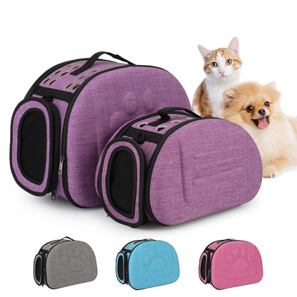 Hard shell cat carrier in two sizes with a kitten and a small dog