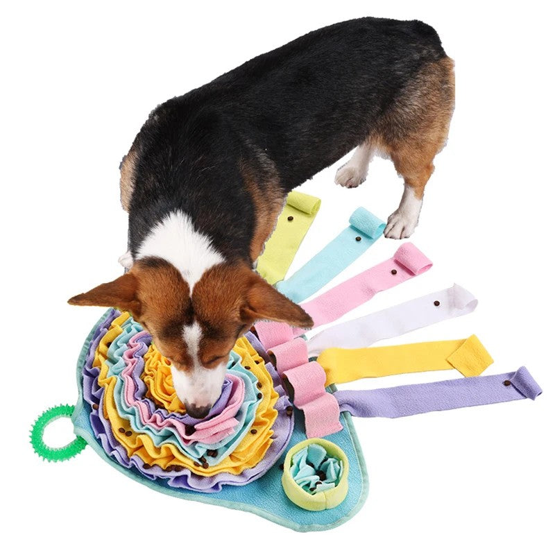 Corgi sniffing for treats on the jellyfish snuffle mat