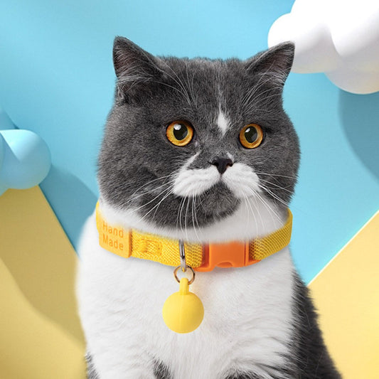 Gray and white cat wearing a yellow elastic kitten collar with a matte yellow bell ball