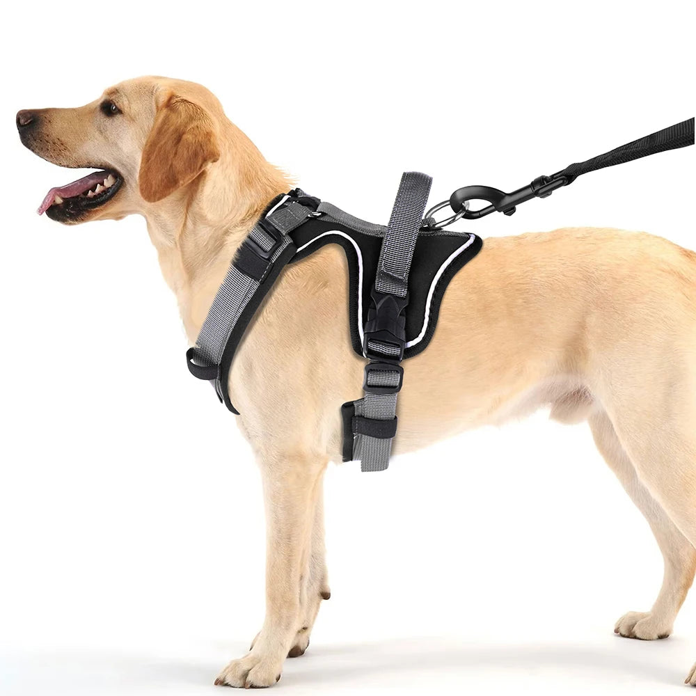 large dog harness no pull