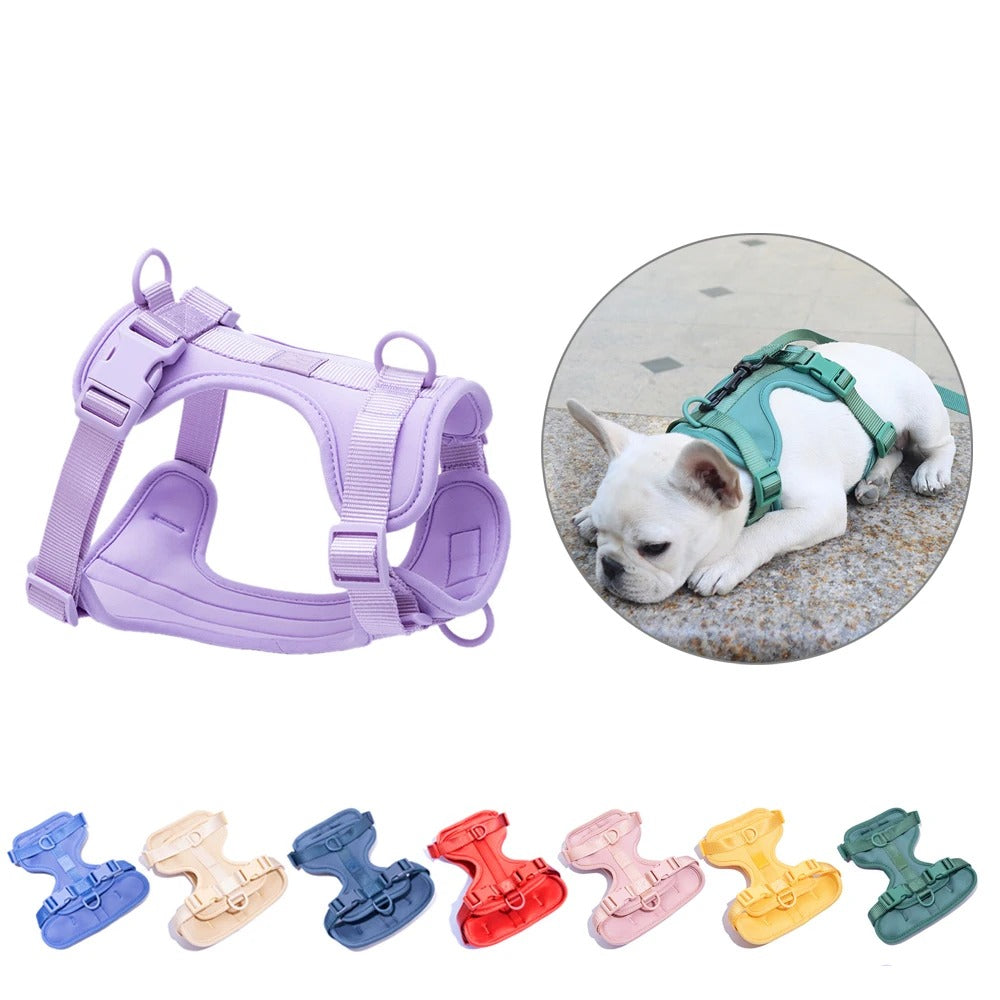 Dog vest harness in purple, with a French bulldog wearing a green one