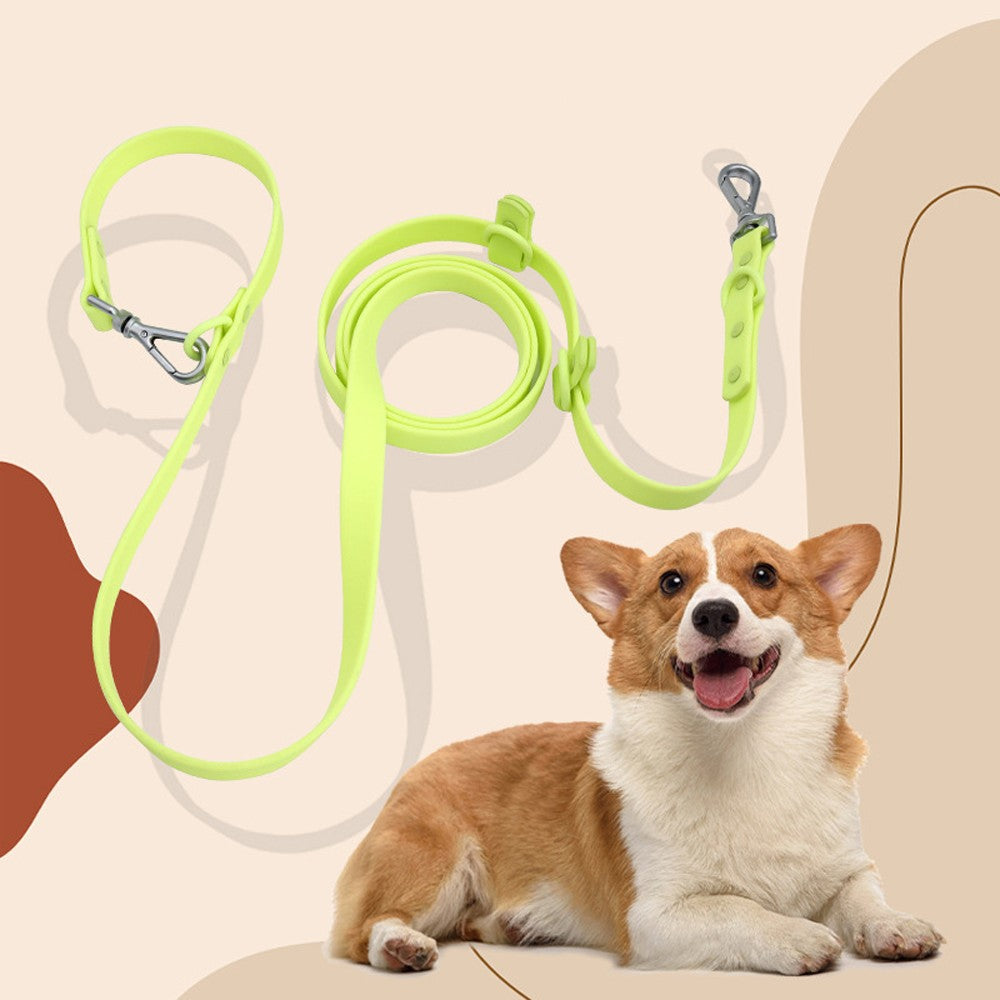 Corgi lying beside a lime multifunction leash