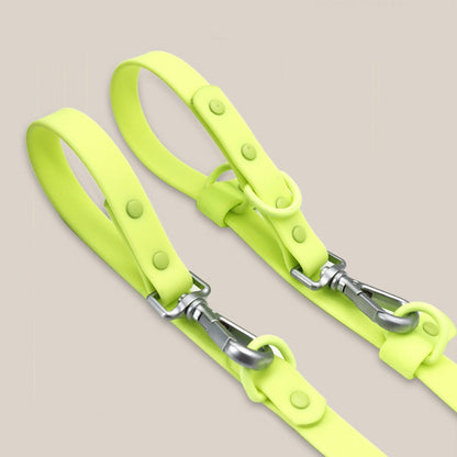 Double ended dog leash clipped into a shorter handle loop