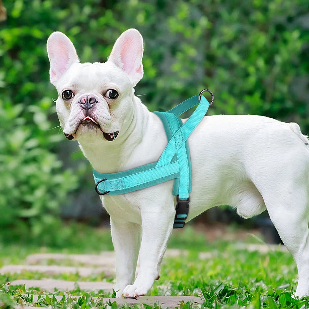 no pull dog harness for small dogs
