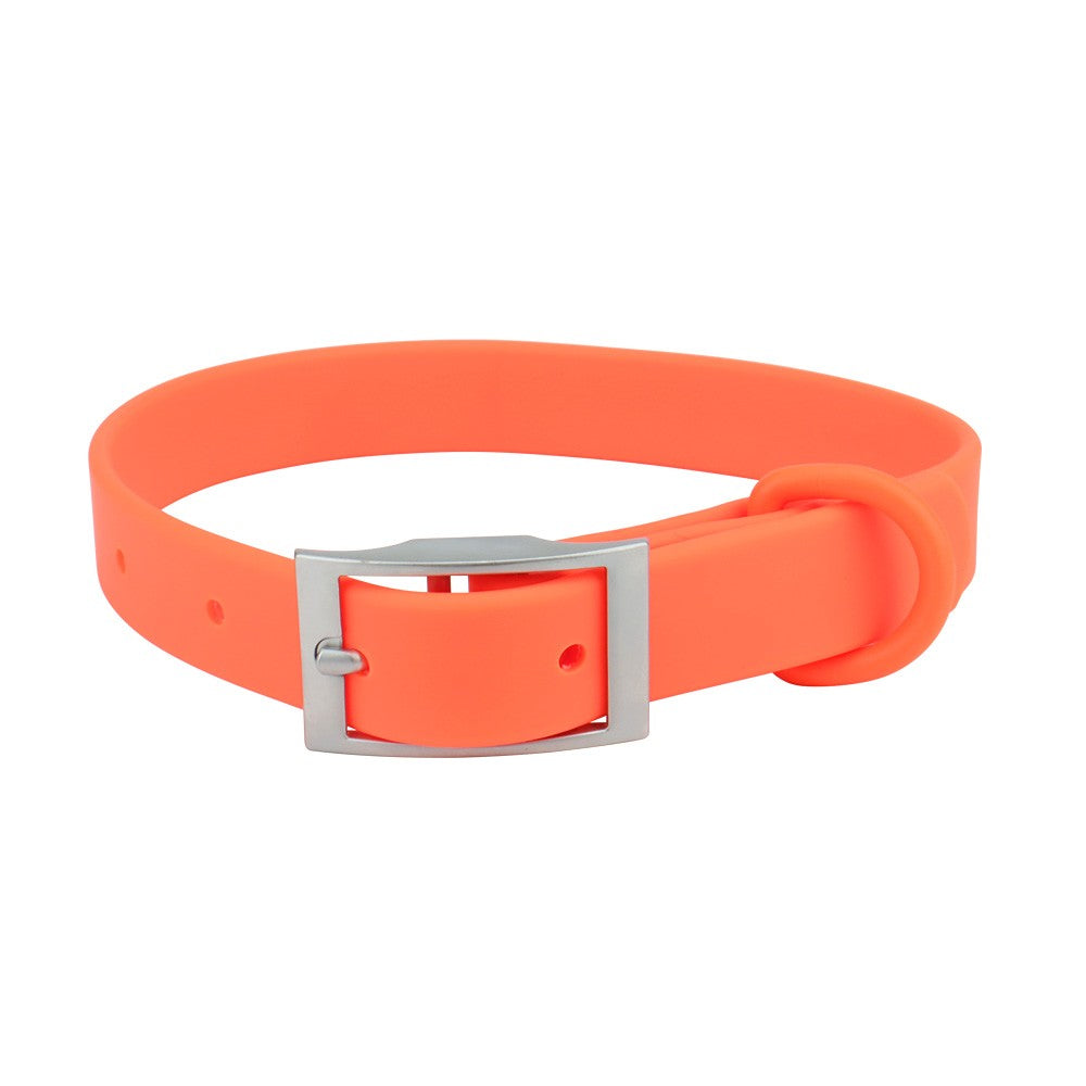 Orange PVC cat collar with silver pin buckle
