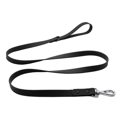 Black PVC dog leash with silver snap hook