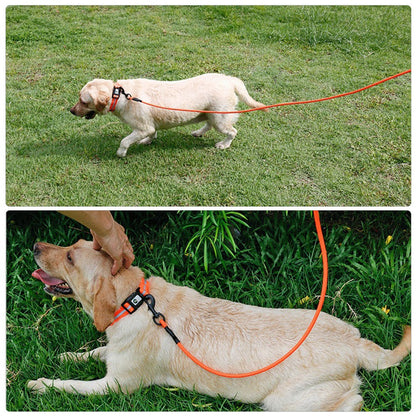 Dogs running on grass with a long recall lead