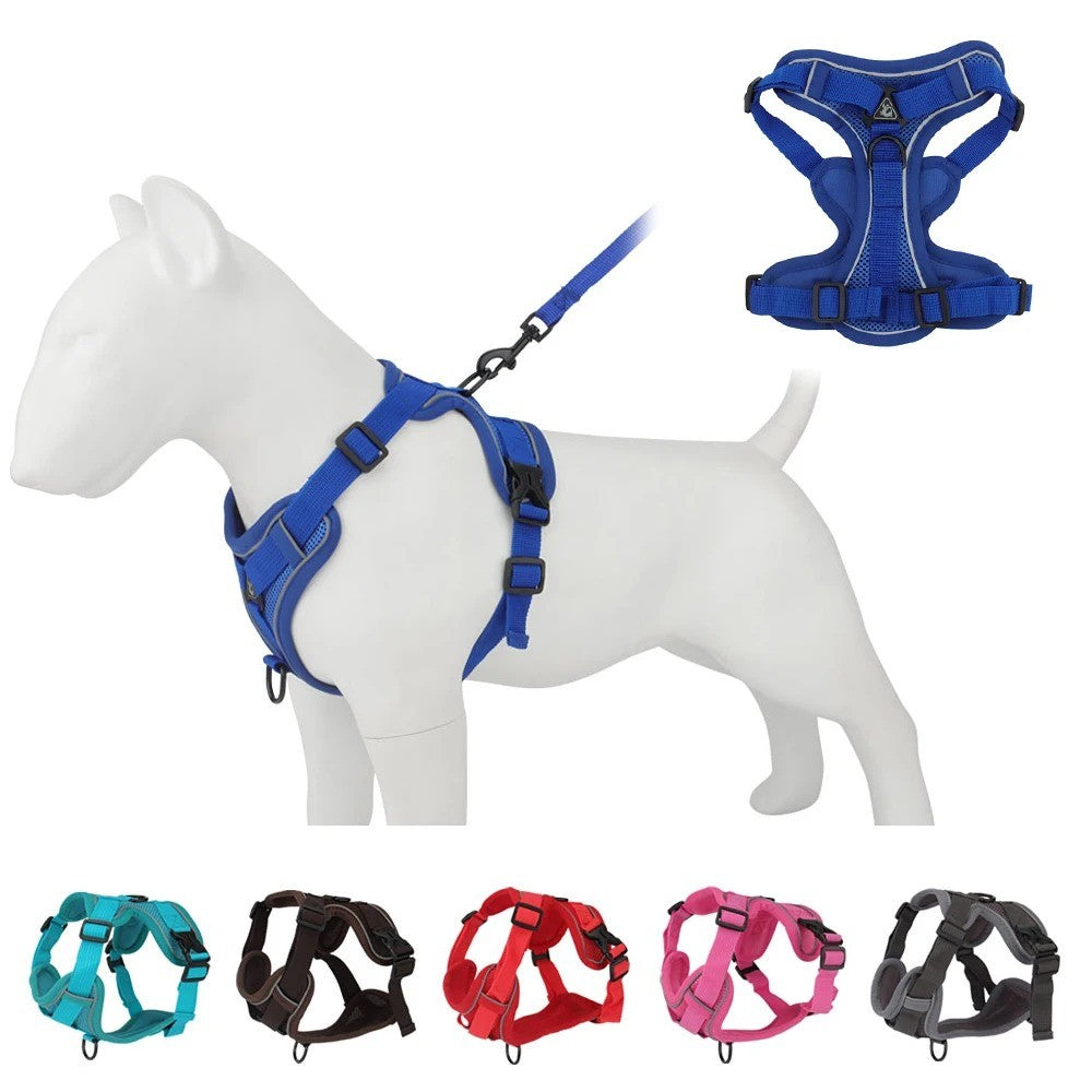 Blue reflective dog harness and leash set on a small dog model