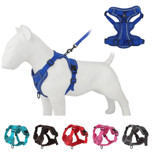 Blue reflective dog harness and leash set on a small dog model