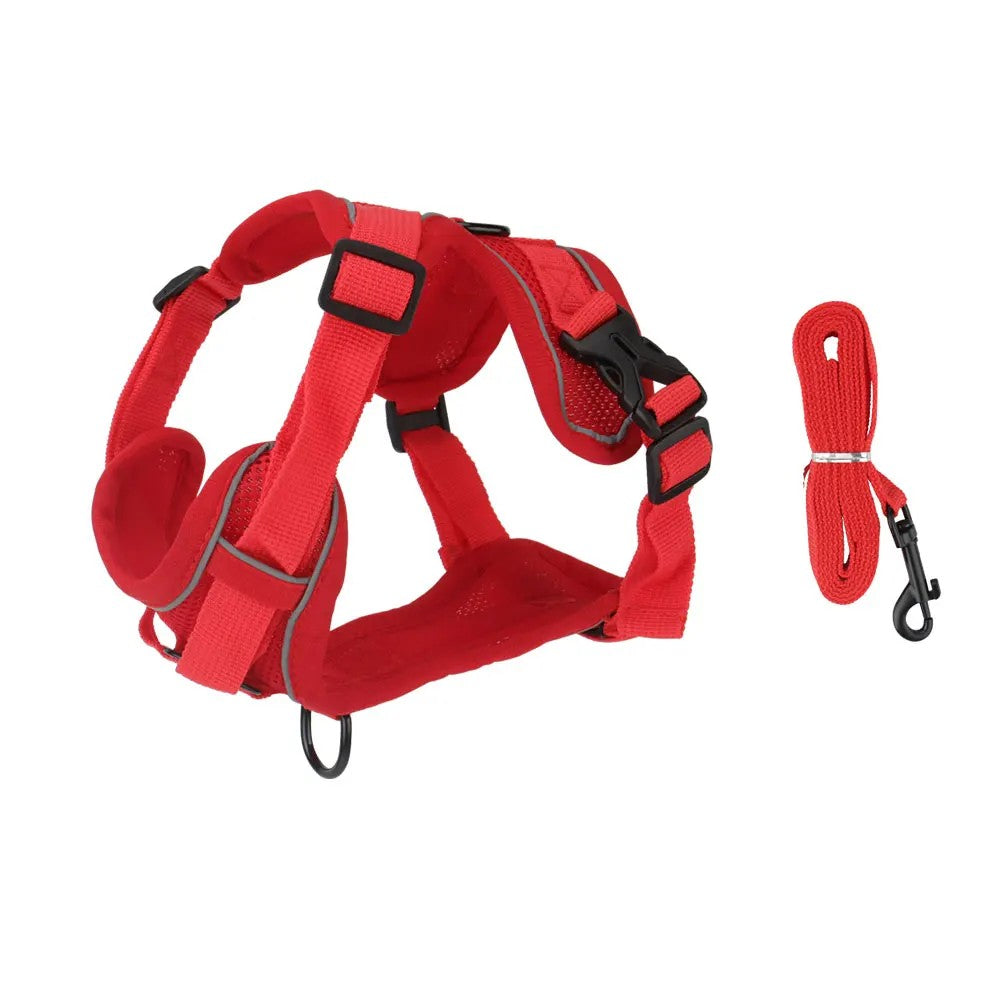 Red padded dog harness with matching red leash