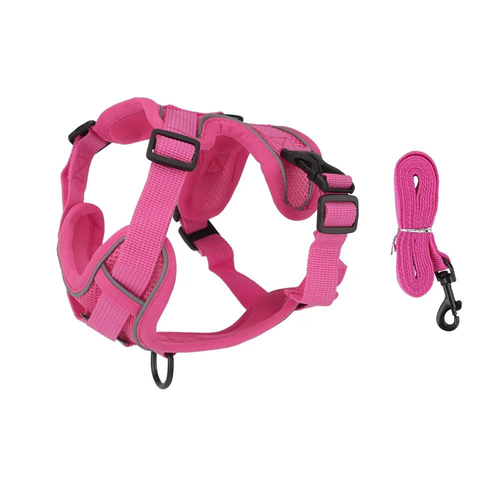 Rose red reflective harness and leash set for small dogs