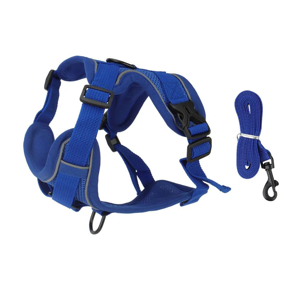 Blue padded vest harness with reflective trim and blue lead