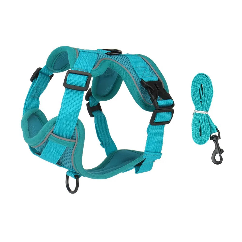 Teal dog harness and matching teal leash