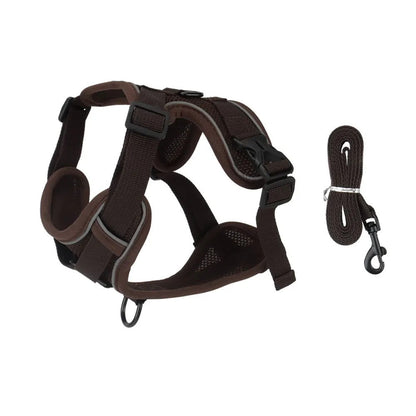 Coffee brown harness and leash set for puppies