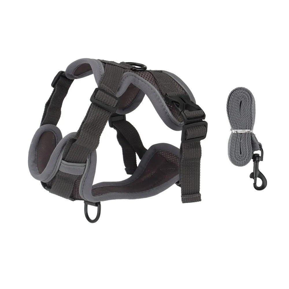 Gray reflective dog harness with gray leash