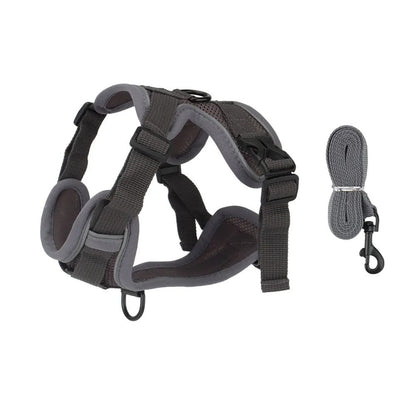 Gray reflective dog harness with gray leash