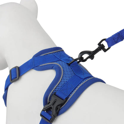Close-up of the leash clipped to the harness back D-ring