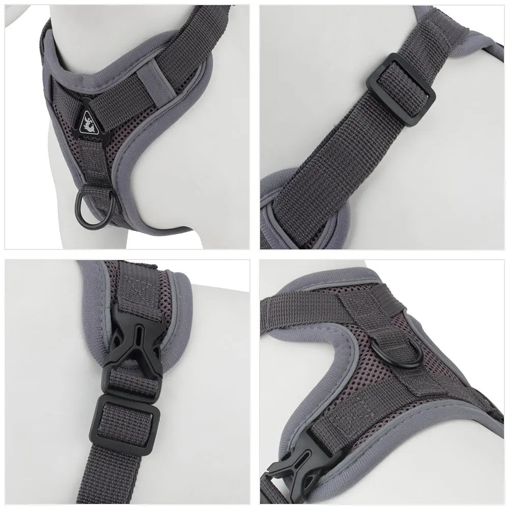 Quick-release buckles and adjustable straps on the harness
