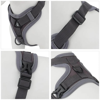 Quick-release buckles and adjustable straps on the harness