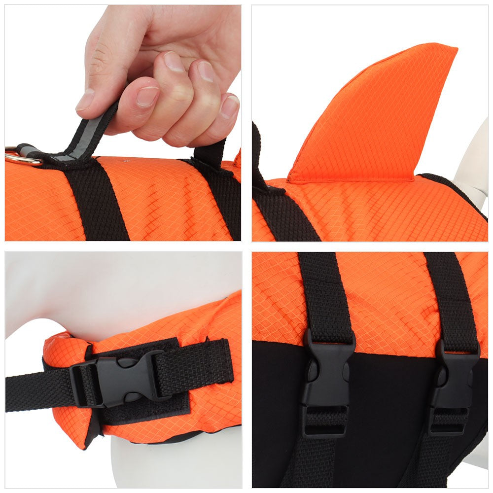 Close-up of the top handle, shark fin and quick-release buckles