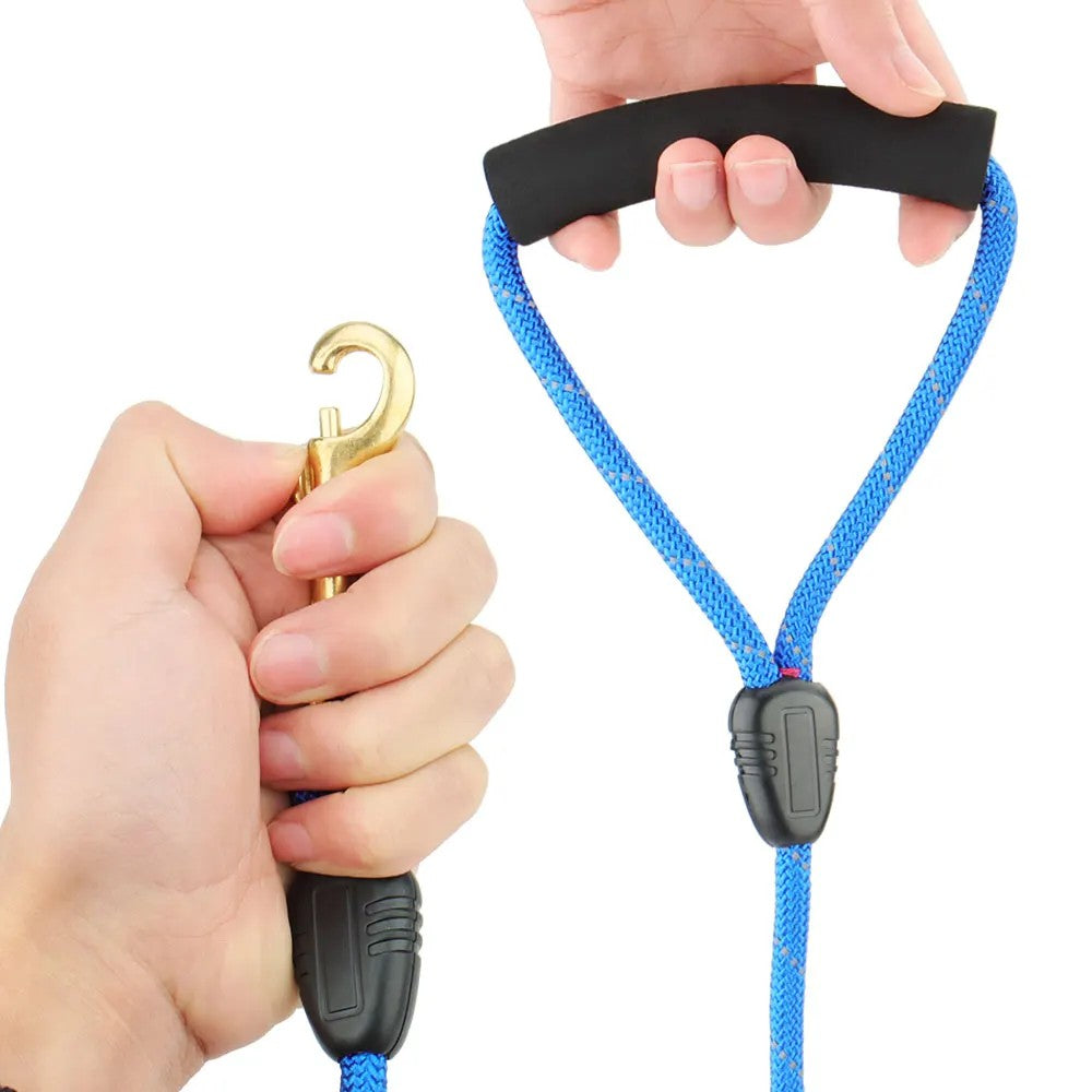 Holding the padded foam handle of the reflective leash