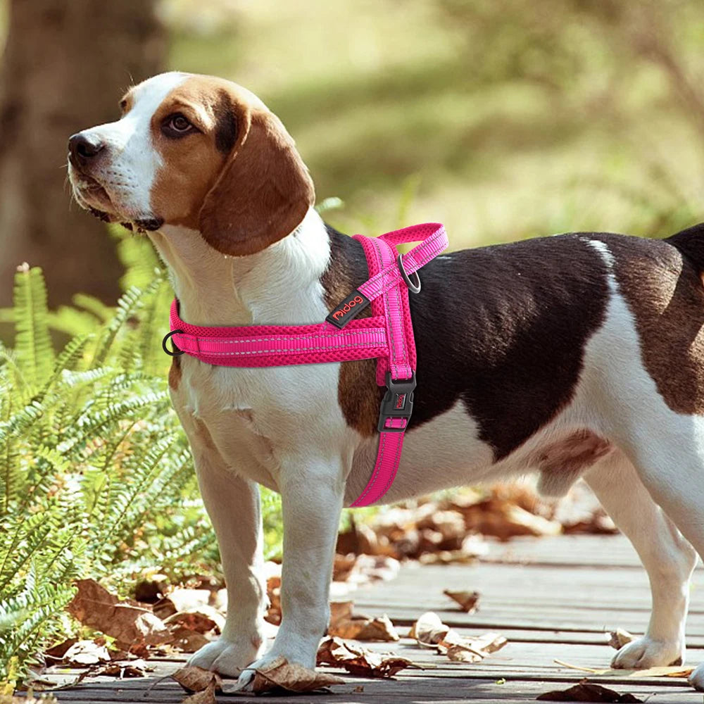 reflective dog harness with handle