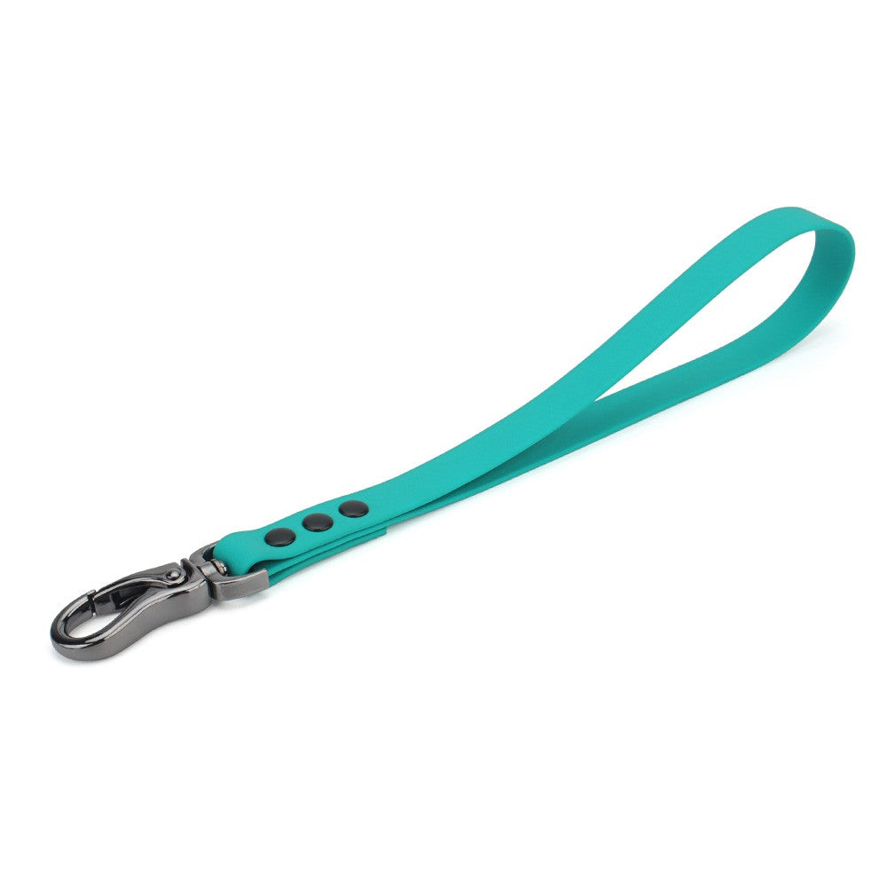 Turquoise short dog leash