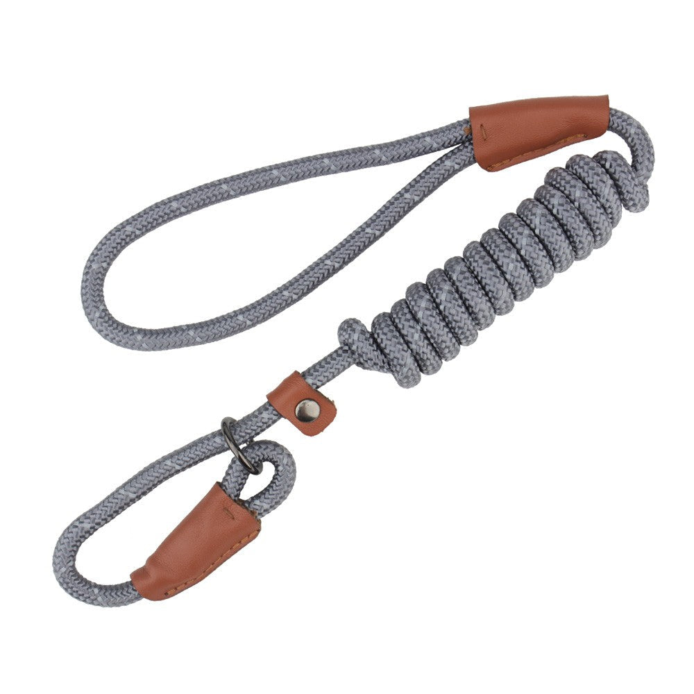 Grey slip lead for dogs