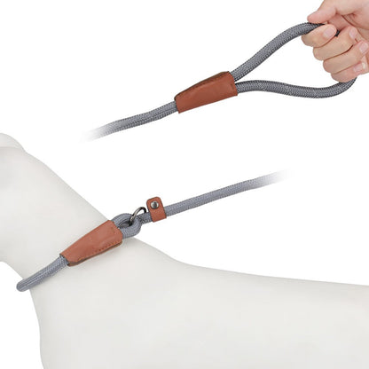 Slip lead looped around a dog model neck with the stopper set