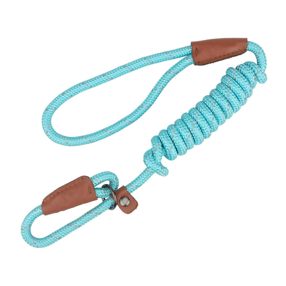 Aqua slip lead for dogs