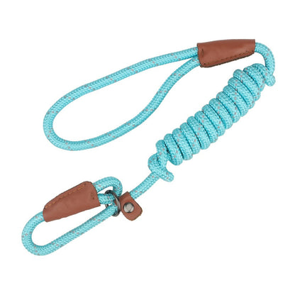 Aqua slip lead for dogs