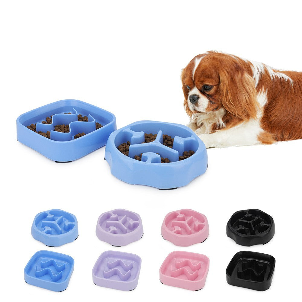 Slow feeder dog bowls in round and square maze styles with a spaniel looking on