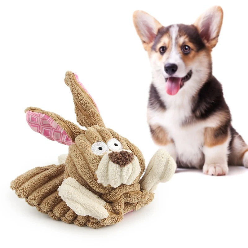 Corgi with the tan bunny dog toy