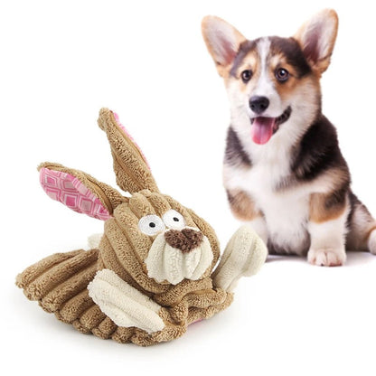 Corgi with the tan bunny dog toy