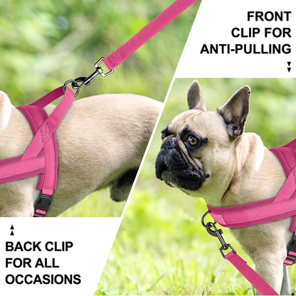 small dog harness no pull - front clip for anti-pulling