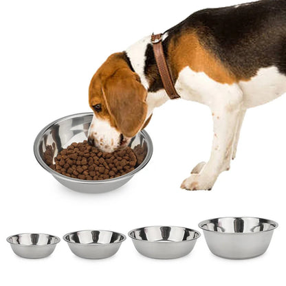 Stainless steel dog bowl in silver, beagle eating kibble from it